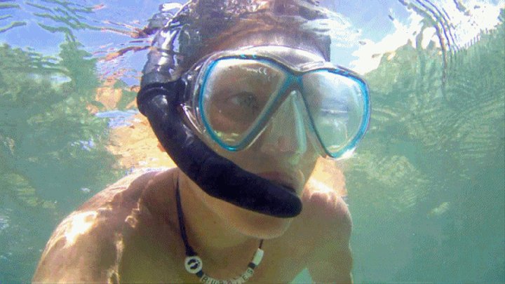 Naked Snorkeling In Jamaica - MP4
