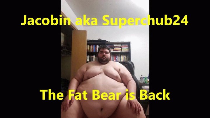 Jacobin aka Superchub24 The Fat Bear is Back