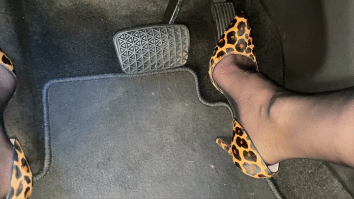 Revving the Buick in Leopard Print Pumps & Nylons