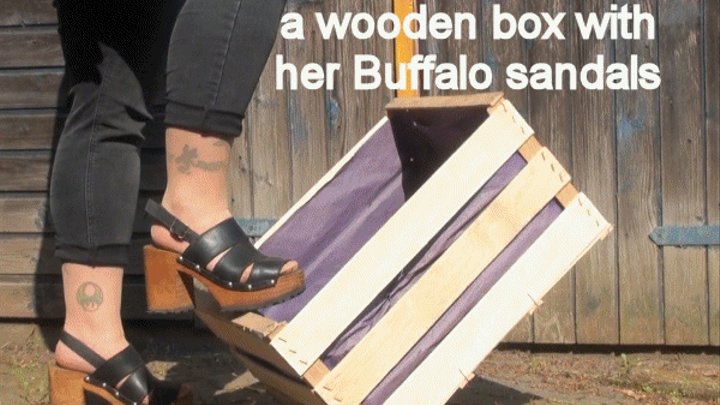 Iffelmaus disassembles a wooden box with her Buffalo sandals