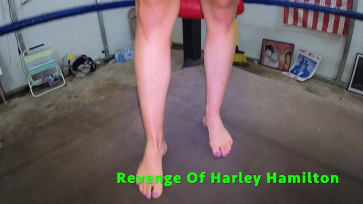 Revenge of Harley Hamilton_WMV