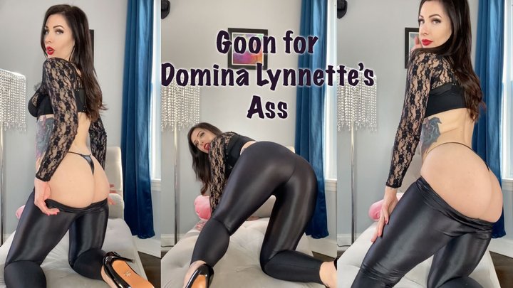 Goon for Domina Lynnette's ASS