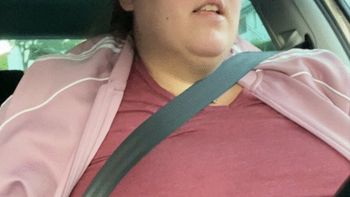 SSBBW stuffing while driving